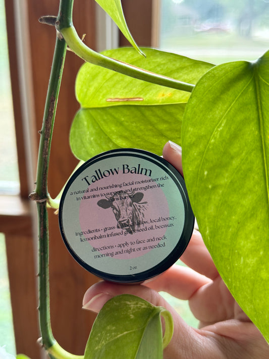 Grass-Fed Tallow Balm